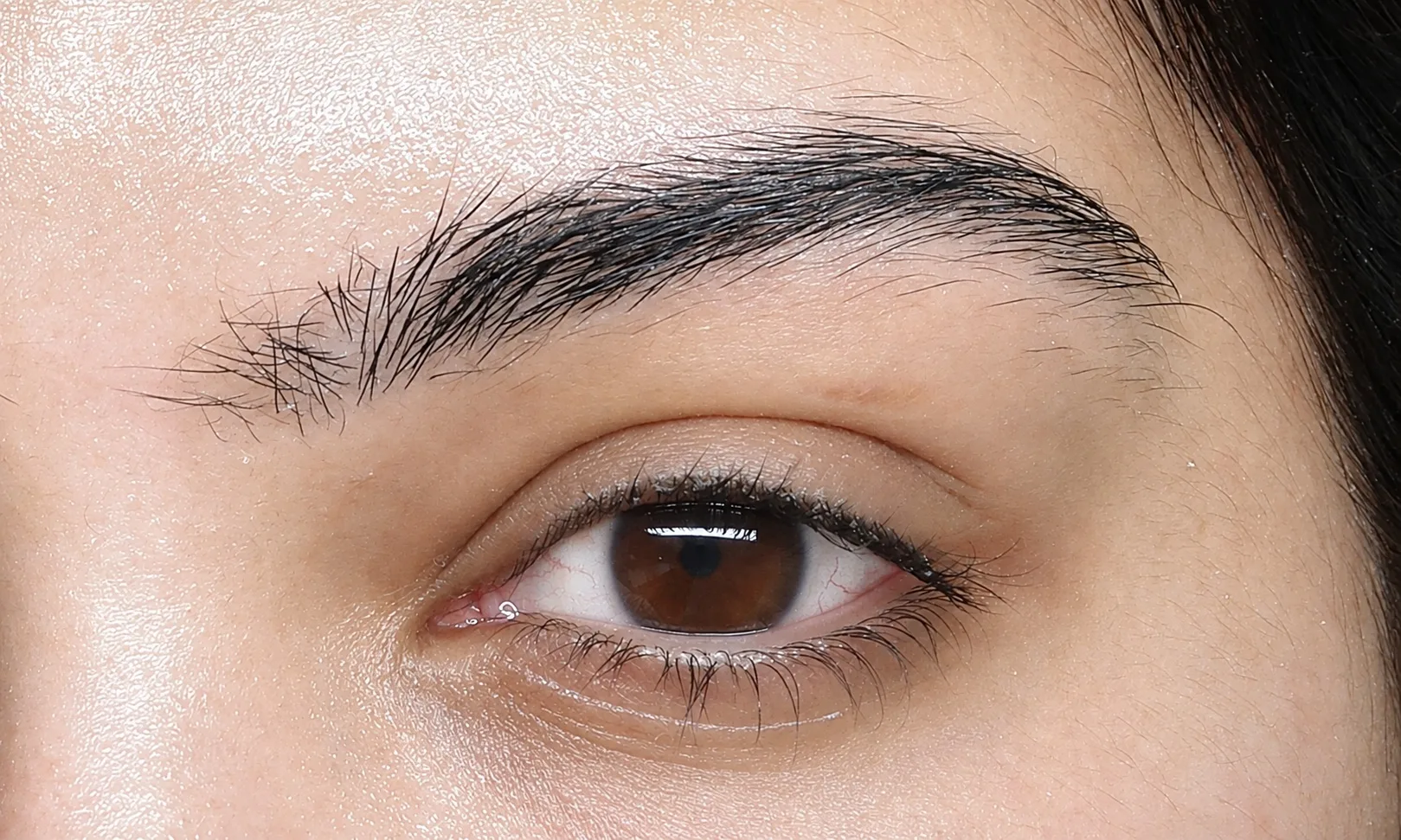 Brow lamination in Dubai, natural brows before treatment at AZIZAM beauty salon